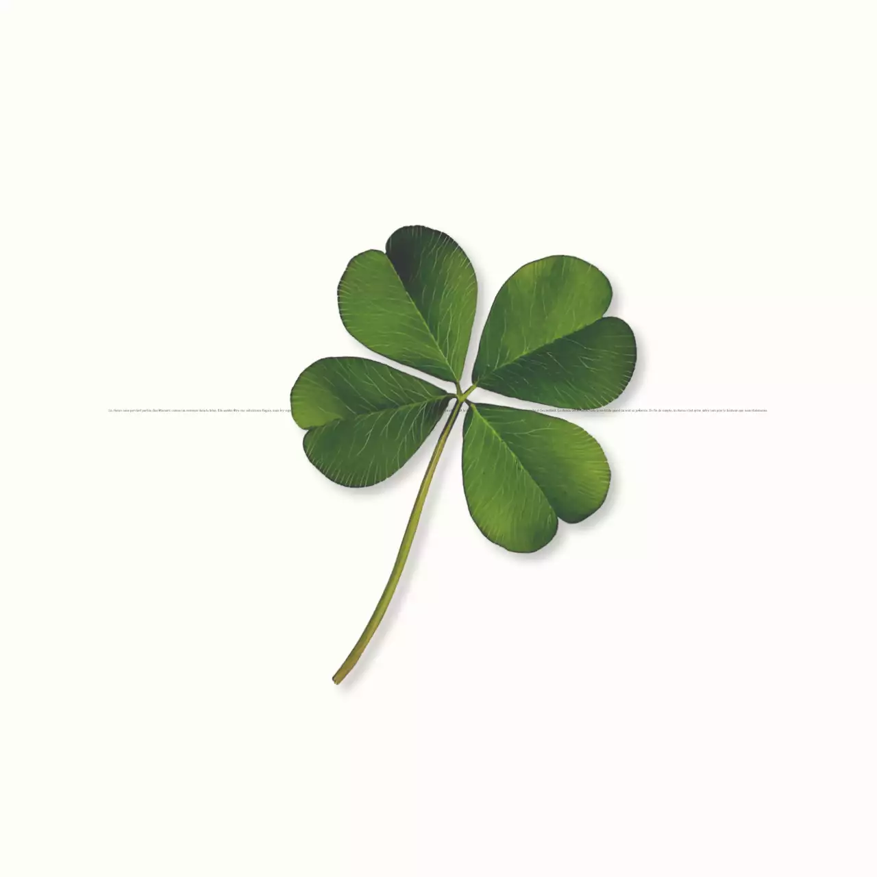 Ivory Simple Happy Words