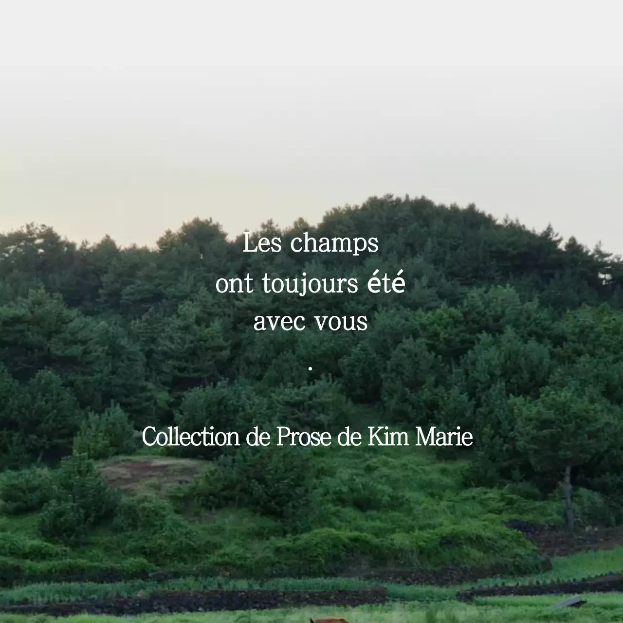 Club de littérature verte et environnementale