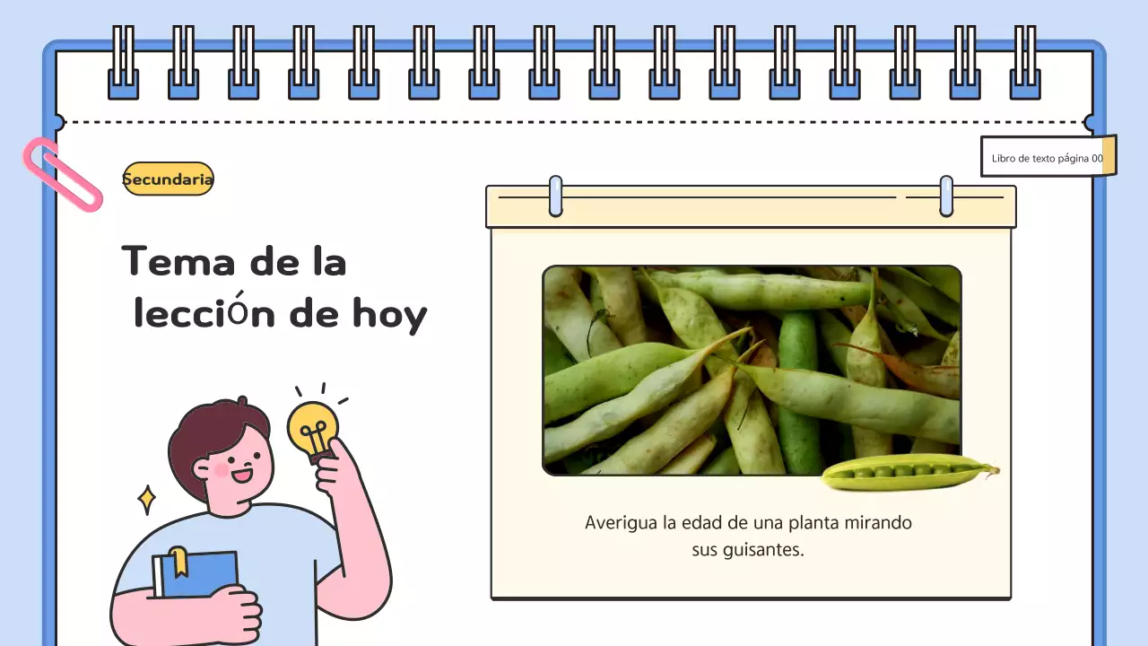 Peluche celeste recursos didácticos de ciencias