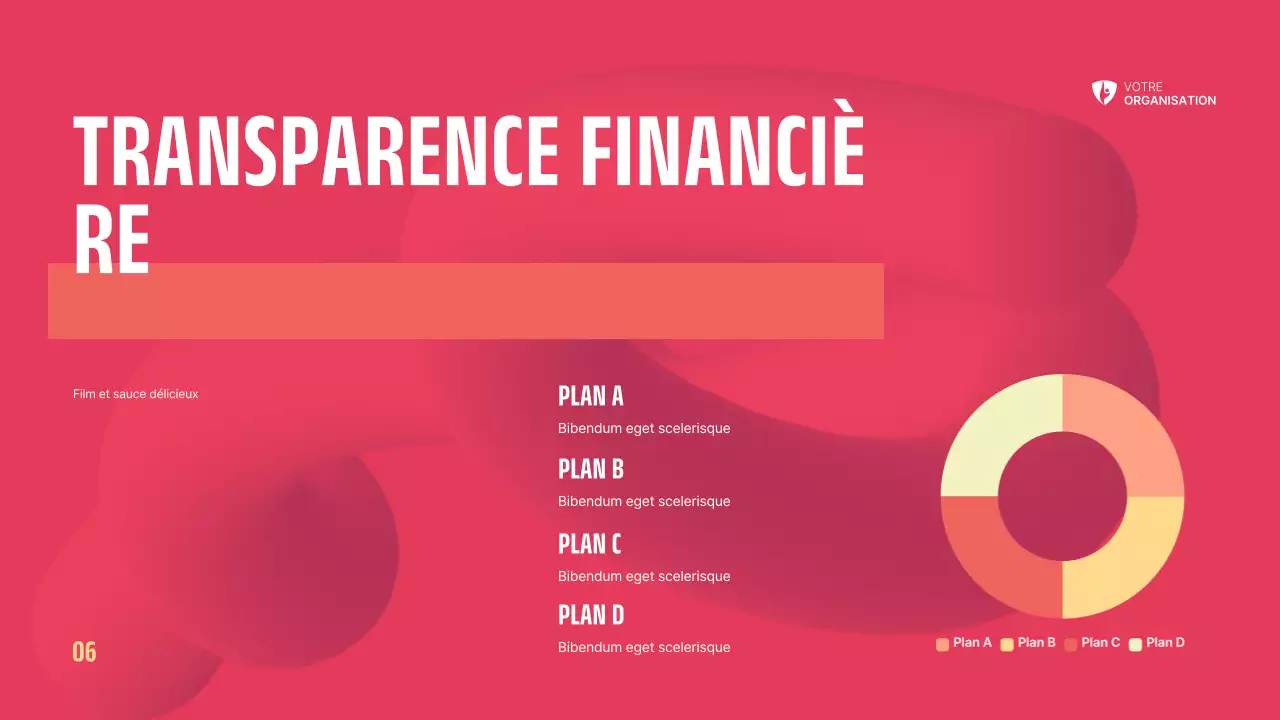Dossier sur les organisations à but non lucratif