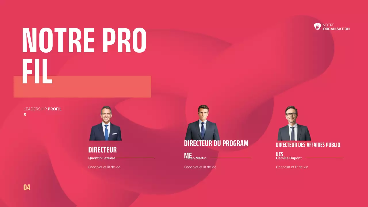 Dossier sur les organisations à but non lucratif