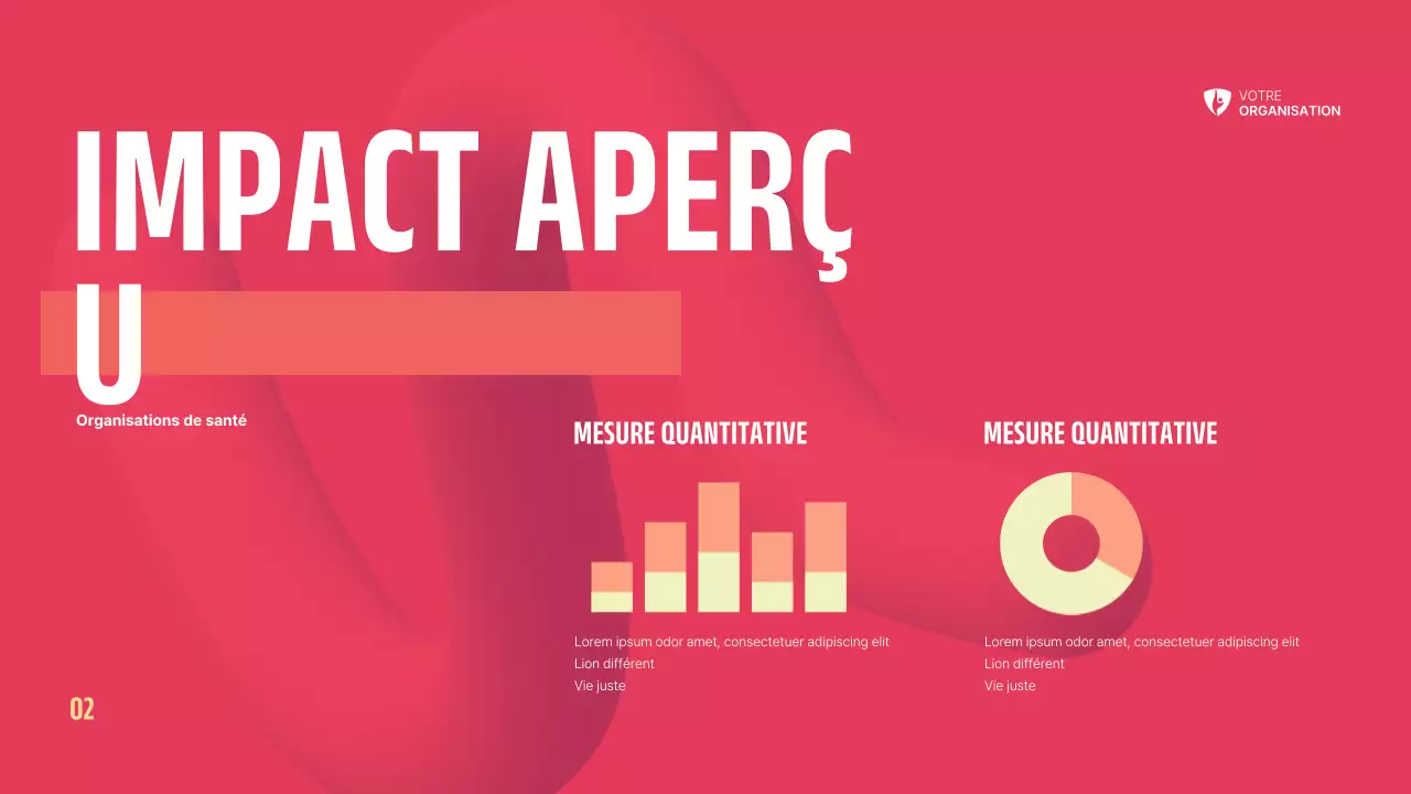 Dossier sur les organisations à but non lucratif
