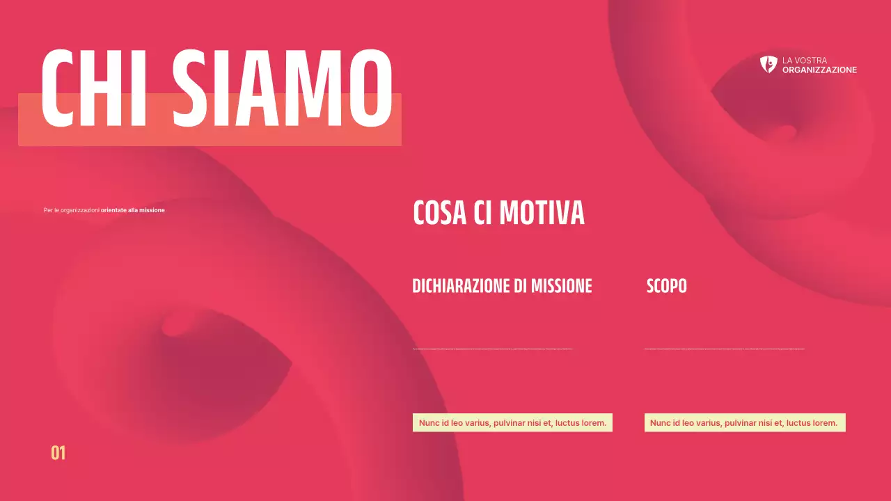 Sintesi sul Non Profit