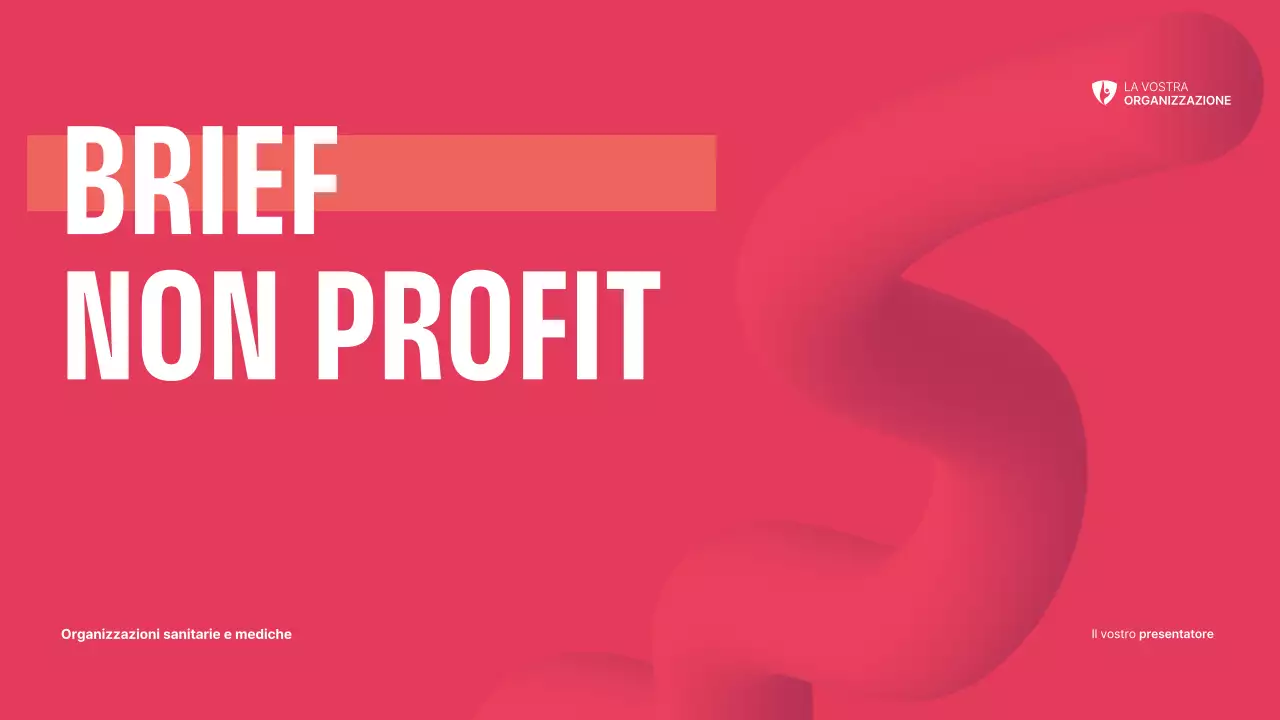 Sintesi sul Non Profit