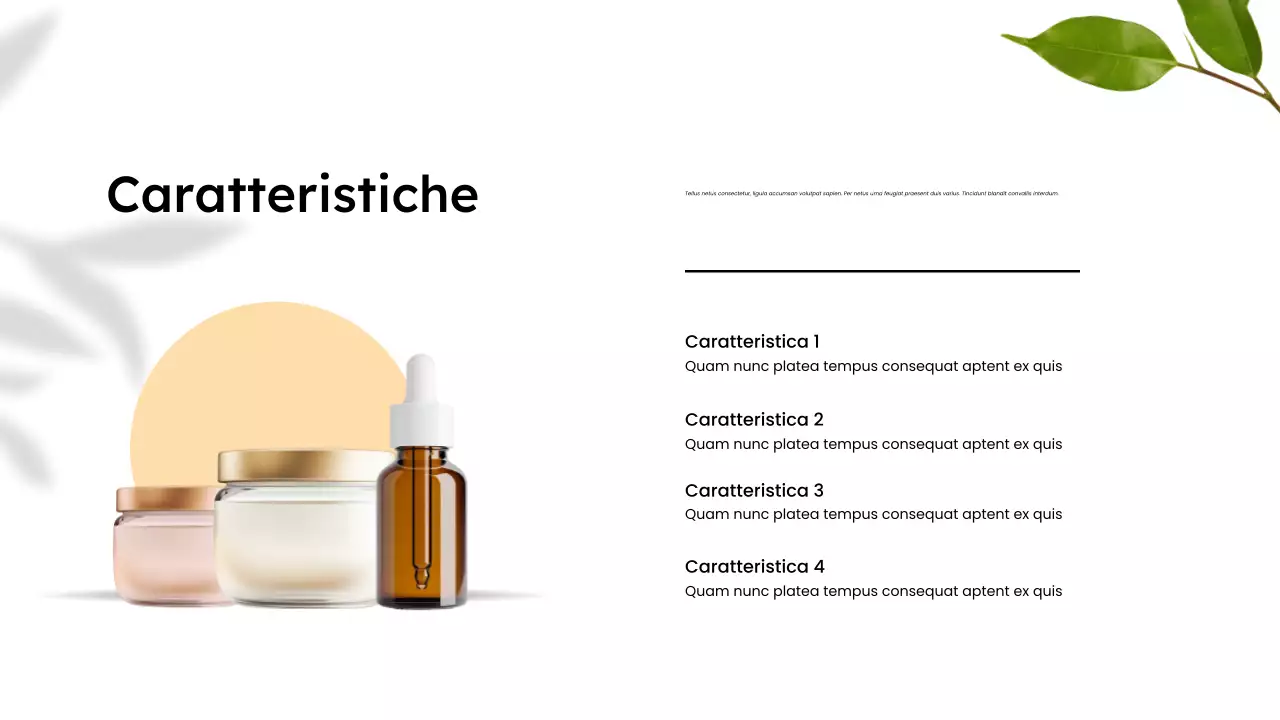 Presentazione minimalista del catalogo di prodotti biologici