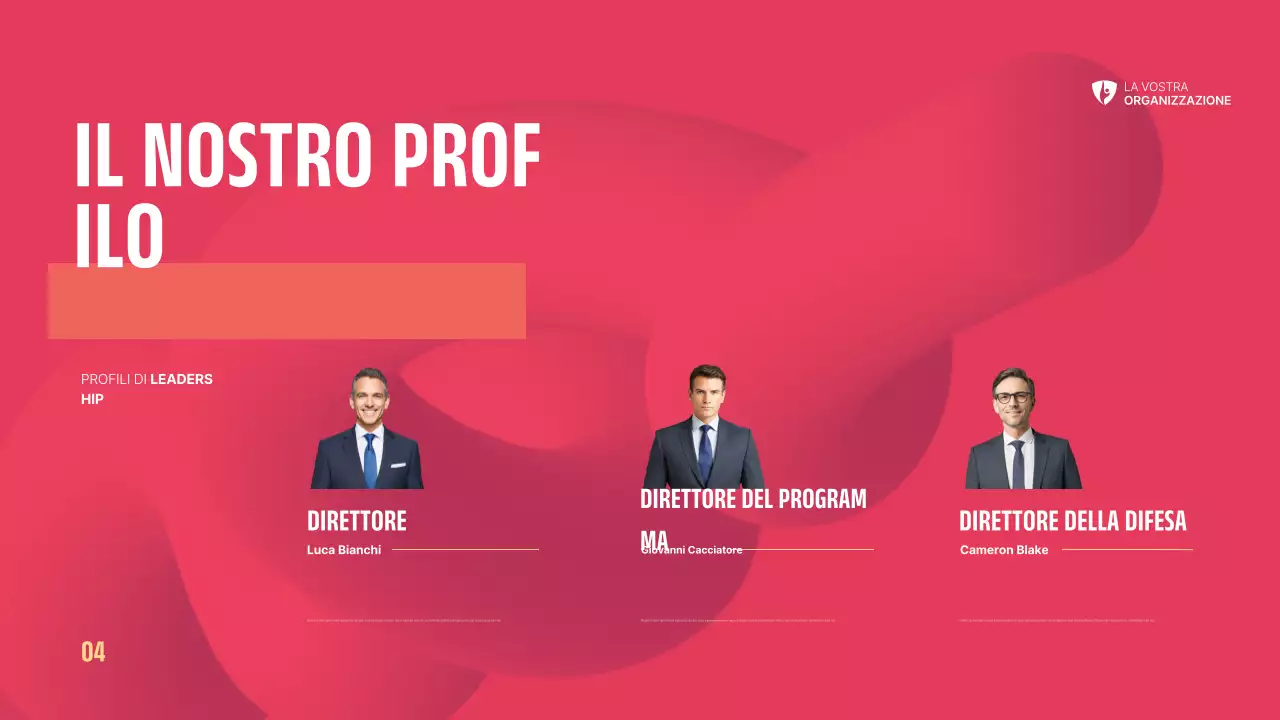 Sintesi sul Non Profit