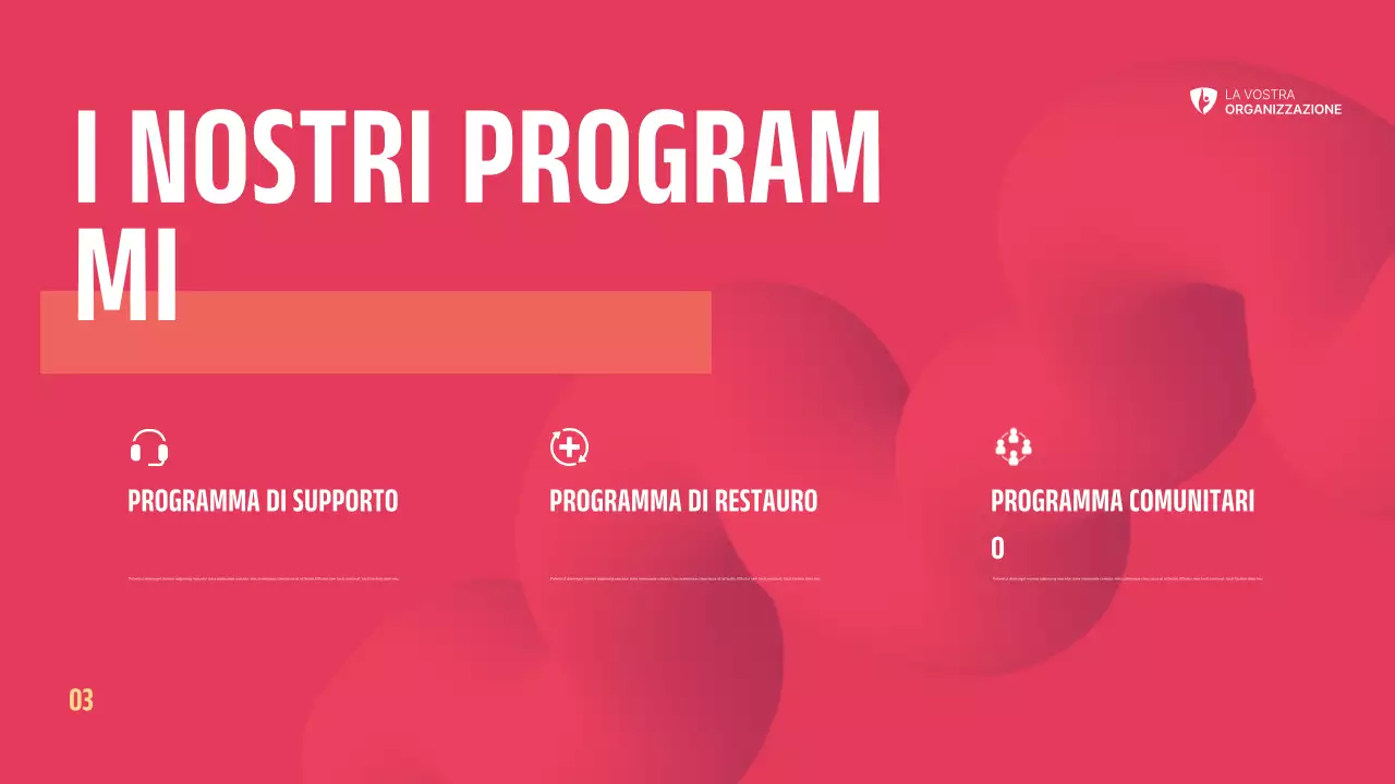 Sintesi sul Non Profit