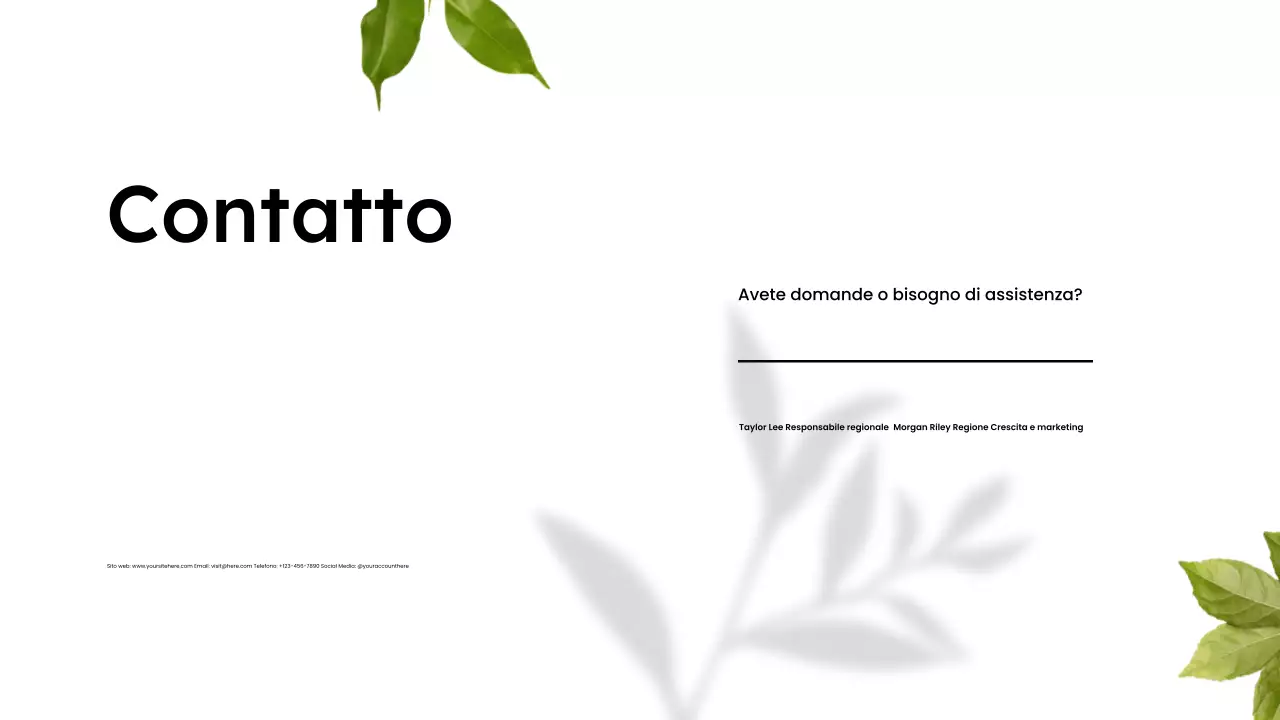 Presentazione minimalista del catalogo di prodotti biologici