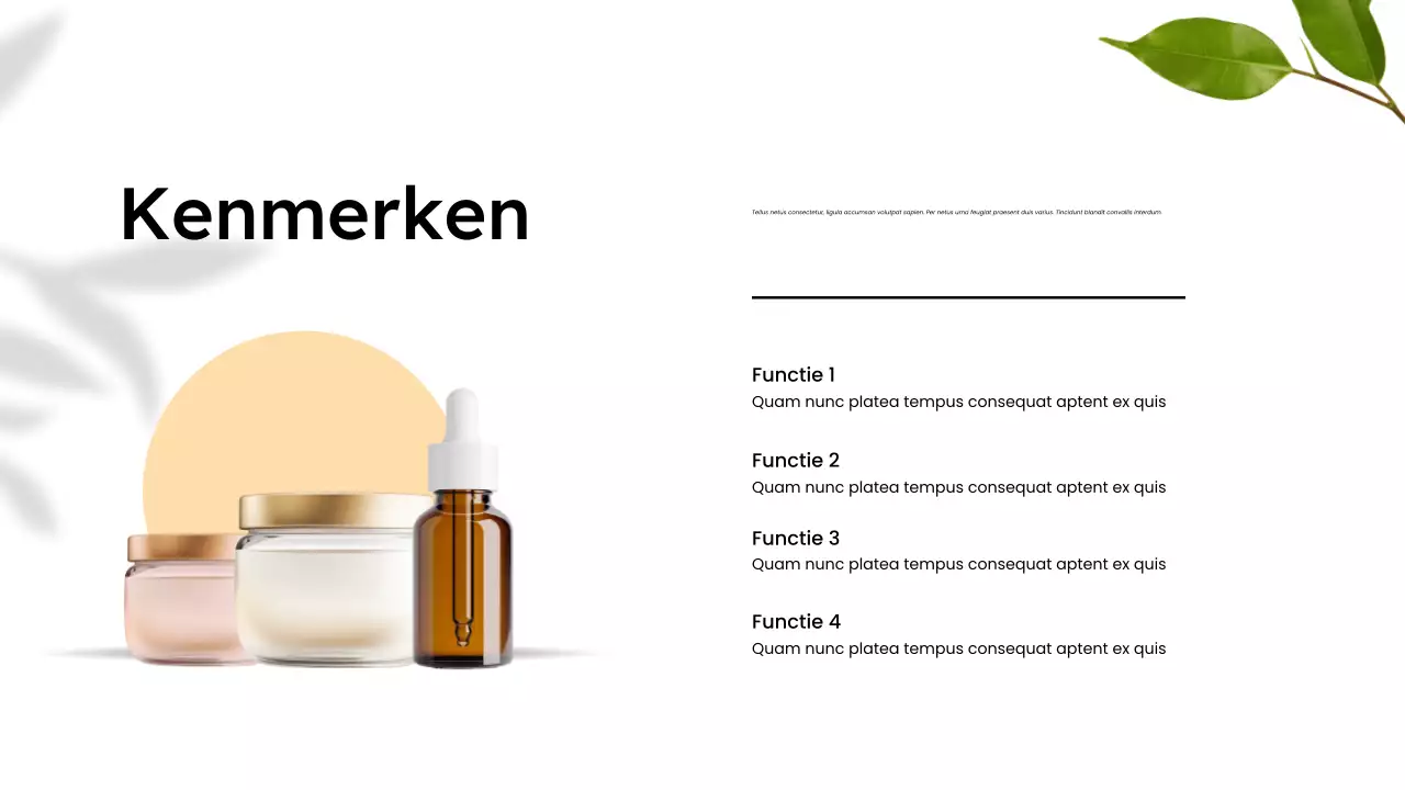 Presentatie minimalistische biologische productcatalogus