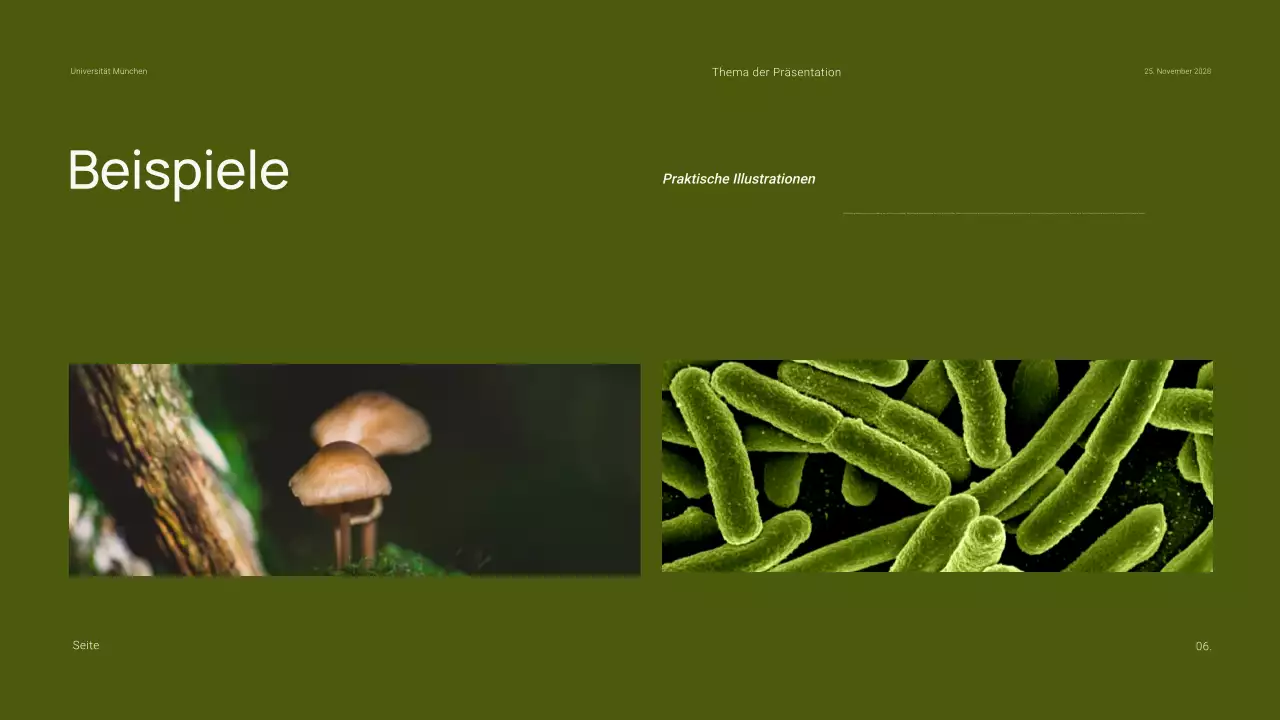 Minimale einfache Präsentation für den akademischen Biologieunterricht