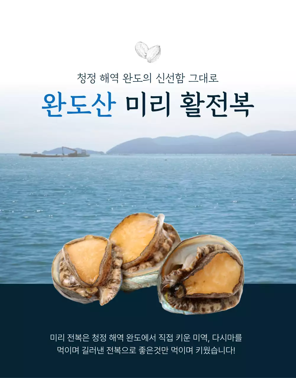 파랑과 남색의 전통적인 수산물 전복 인트로 판매 홍보