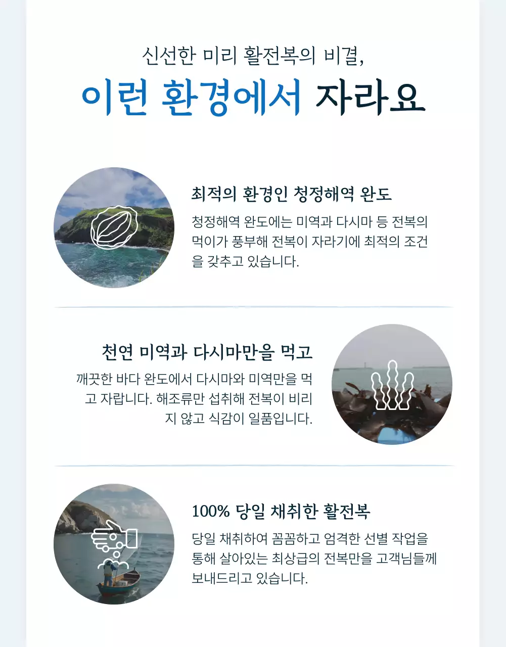 파랑과 남색의 전통적인 수산물 전복 인트로 판매 홍보
