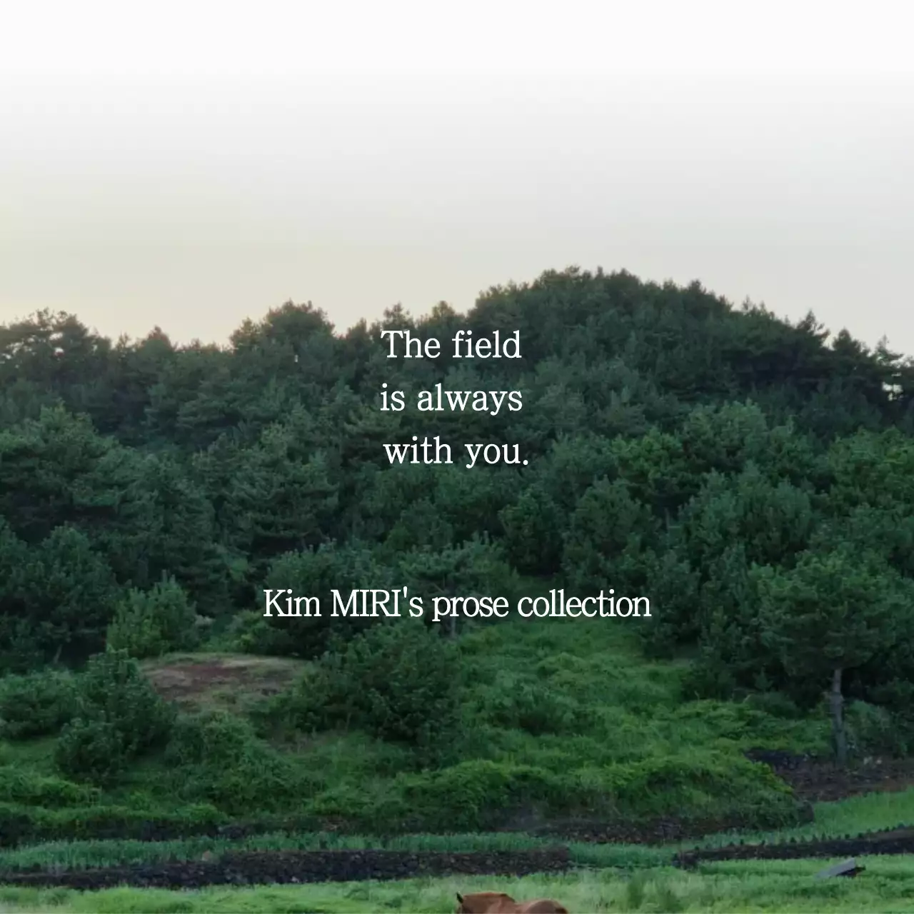 Klub Sastra Alam dan Lingkungan Hijau