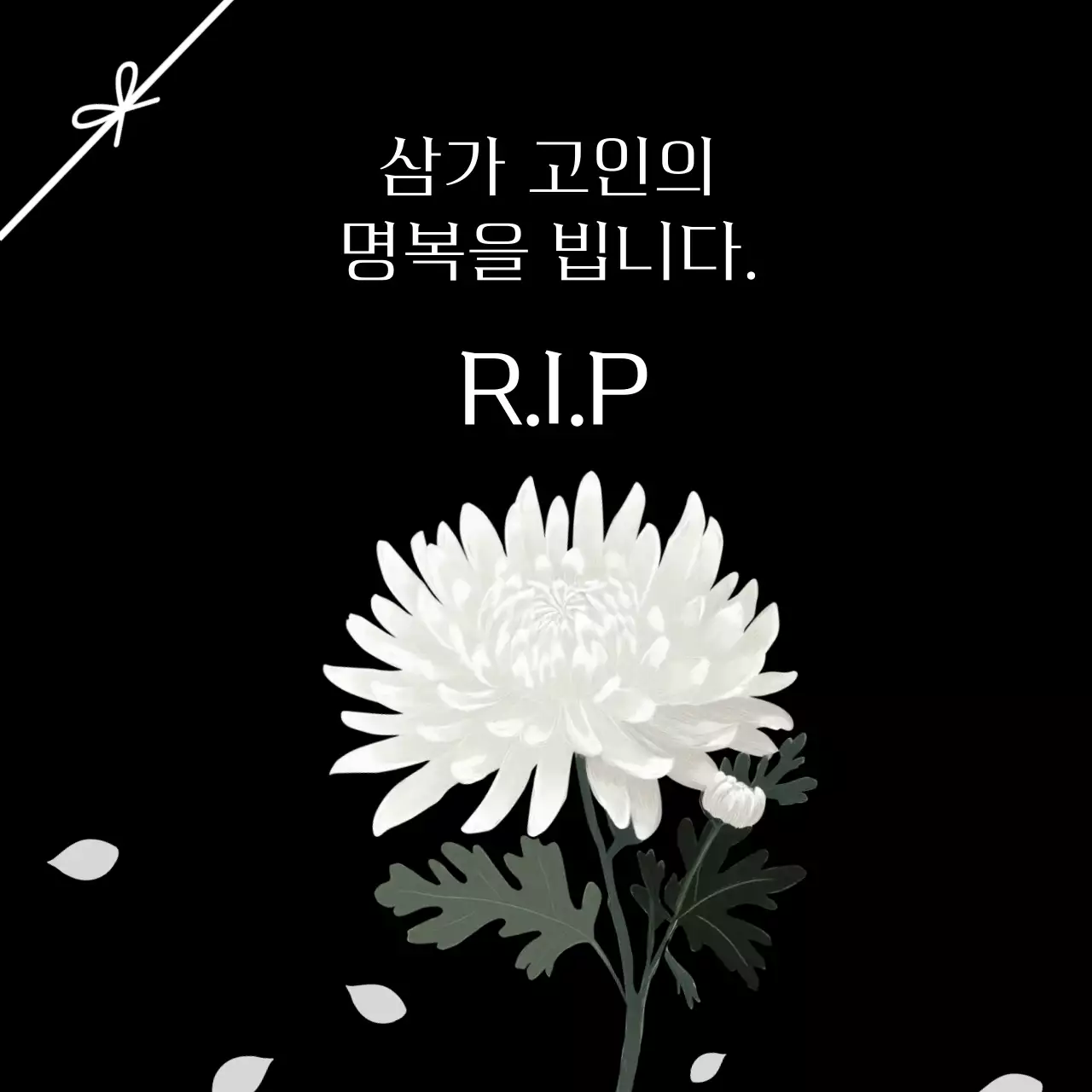 검정 심플 추모 애도 국화 조의