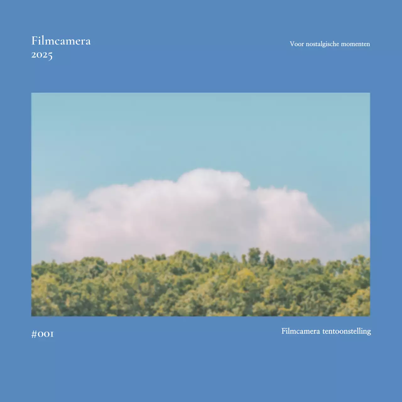 Gids voor de tentoonstelling Minimalistische Pastels