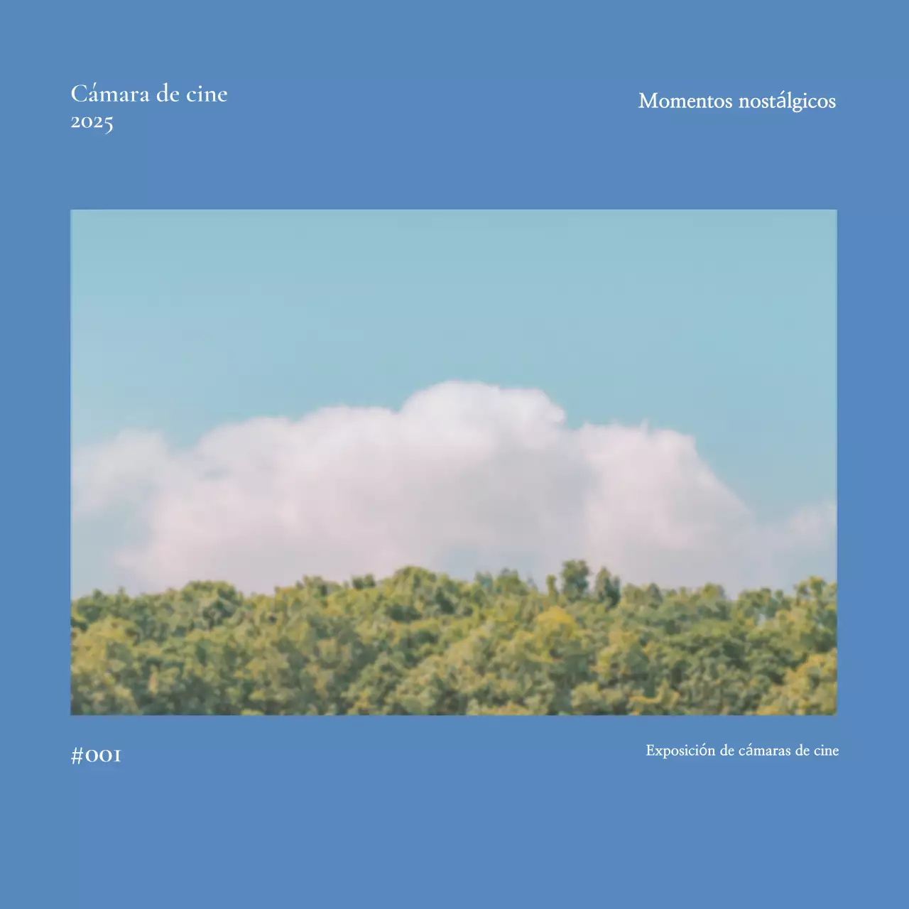 Guía de la exposición Pasteles minimalistas