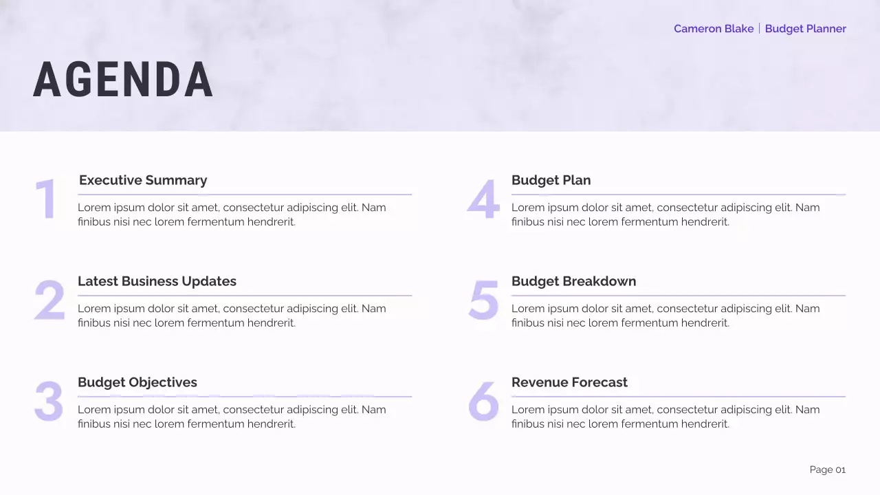 White Professional Finance Planner Presentation