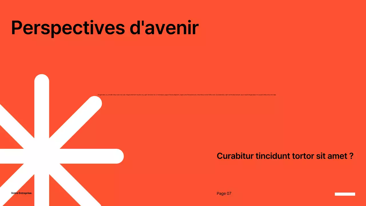 présentation de la musique classique noire