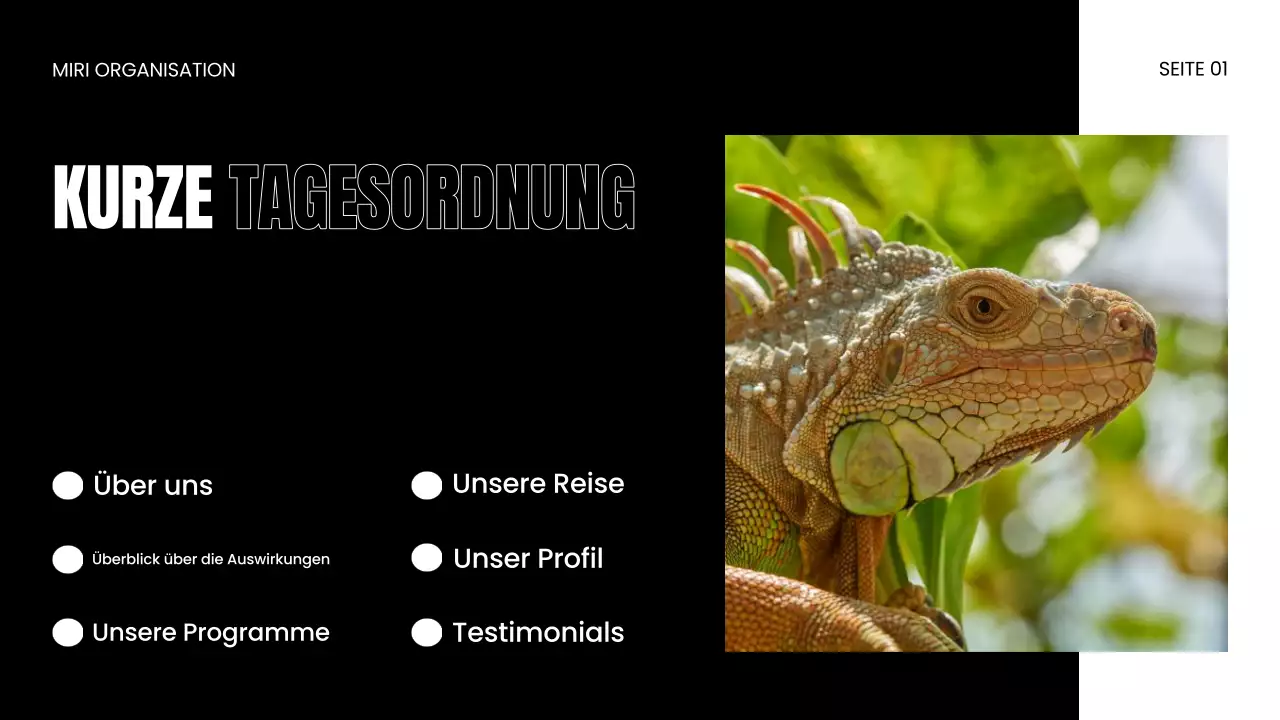 Präsentation zum Schutz von Wildtieren durch NGOs