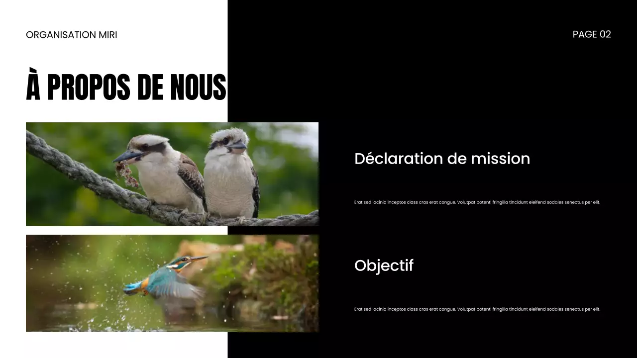 Présentation d'une ONG sur la protection de la faune et de la flore