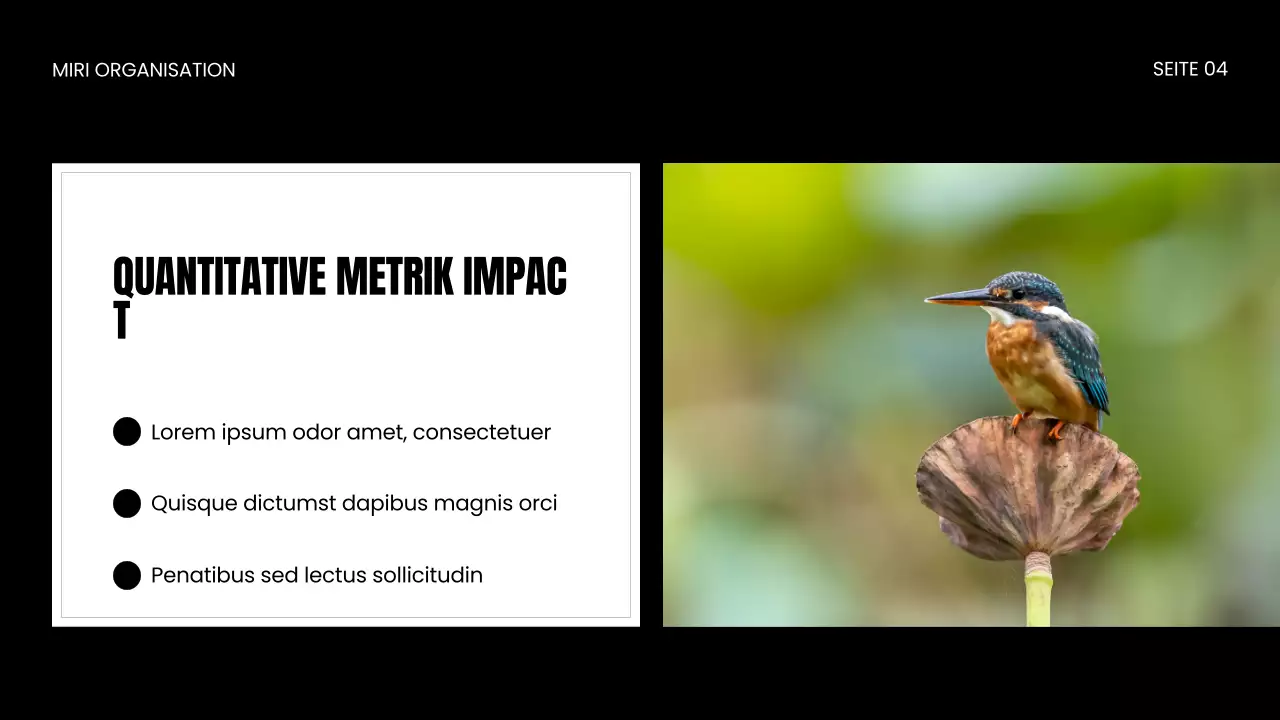 Präsentation zum Schutz von Wildtieren durch NGOs