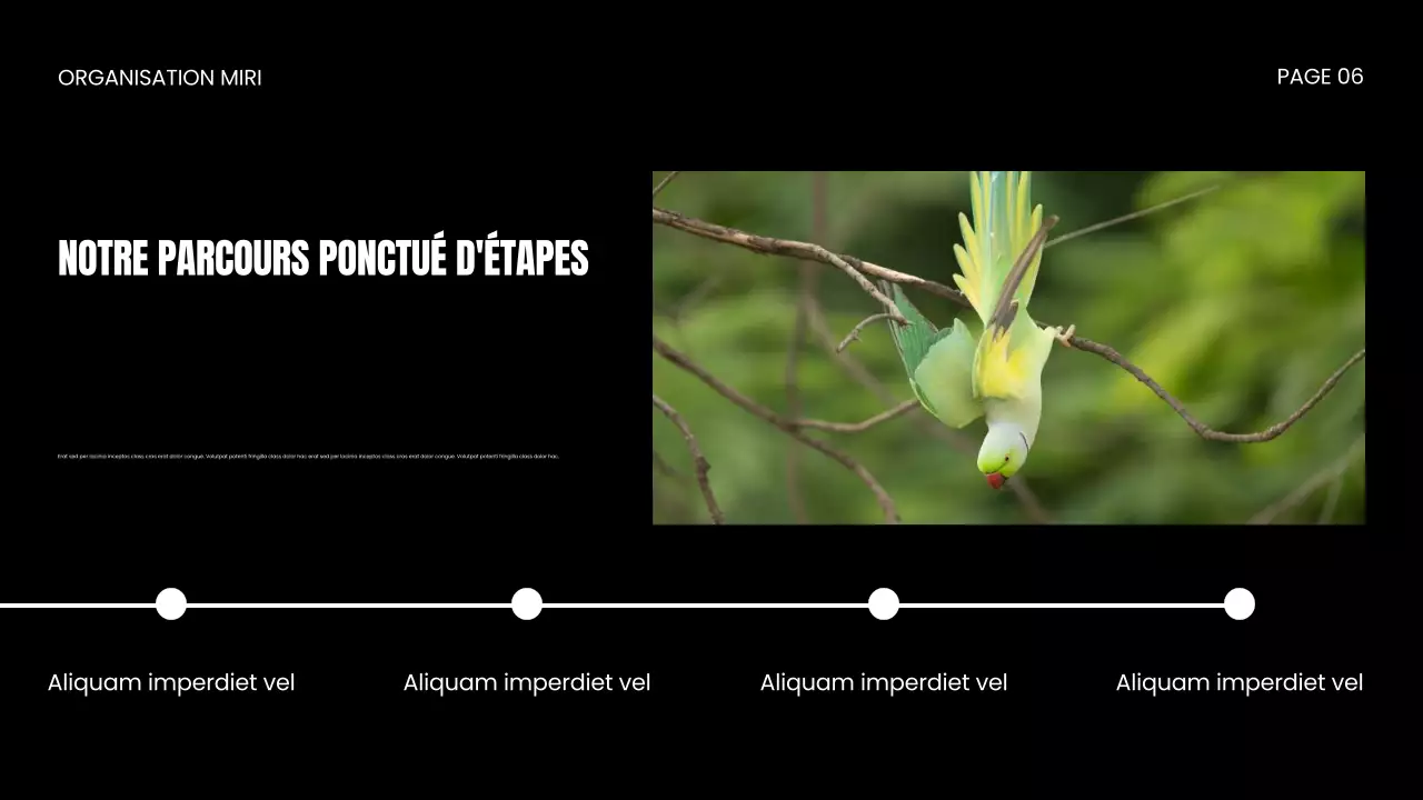 Présentation d'une ONG sur la protection de la faune et de la flore