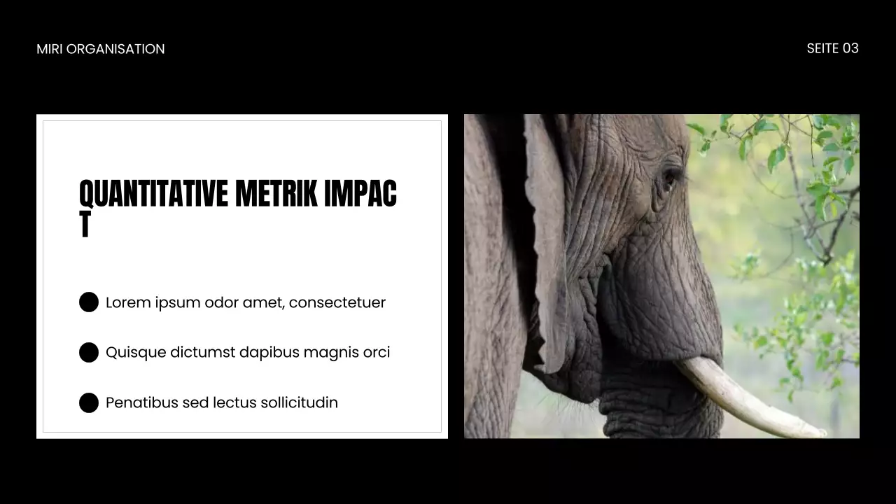 Präsentation zum Schutz von Wildtieren durch NGOs