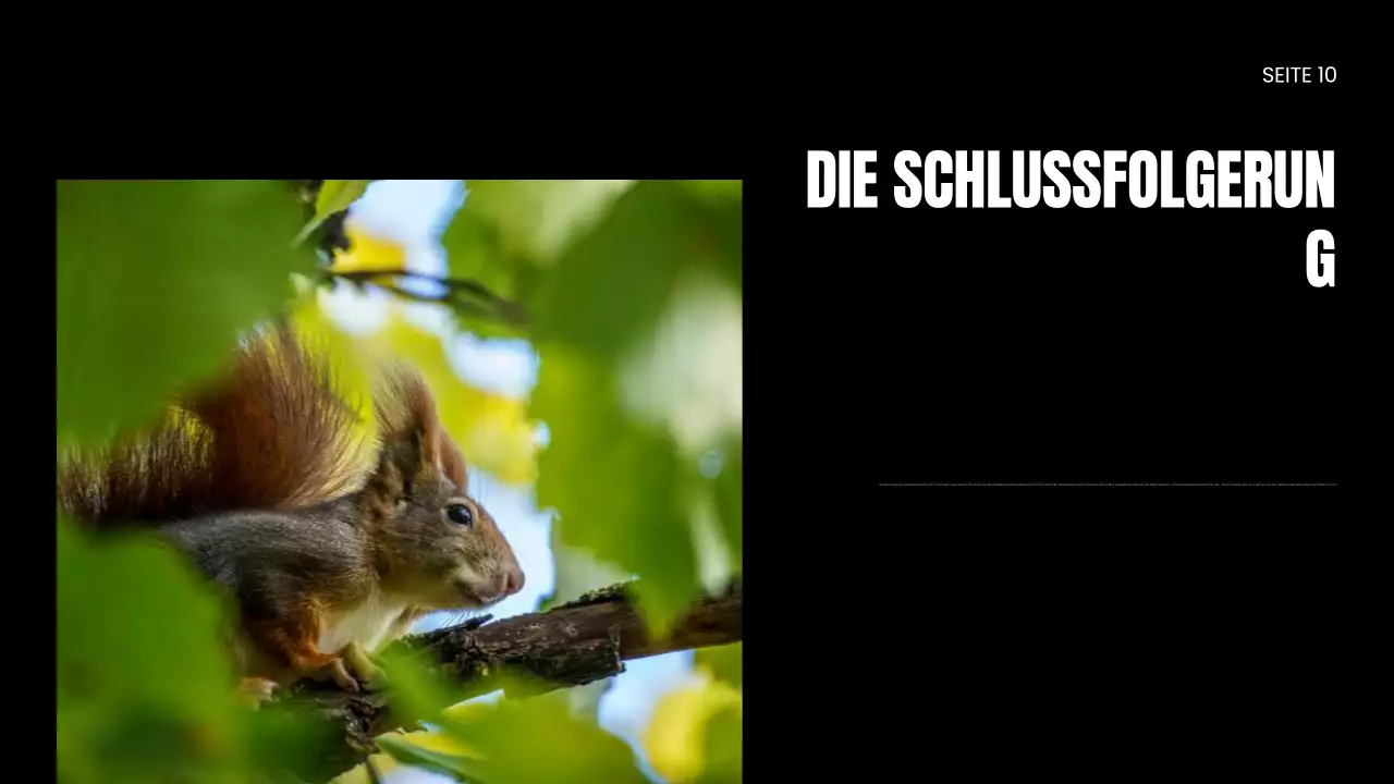 Präsentation zum Schutz von Wildtieren durch NGOs