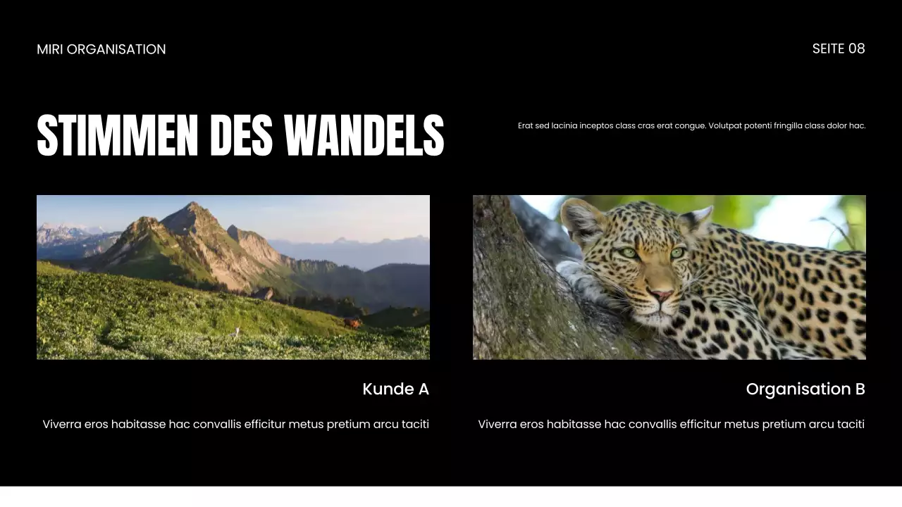 Präsentation zum Schutz von Wildtieren durch NGOs