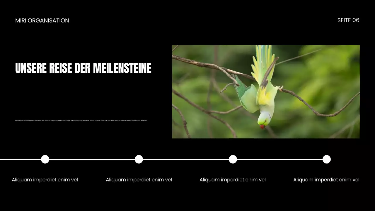 Präsentation zum Schutz von Wildtieren durch NGOs