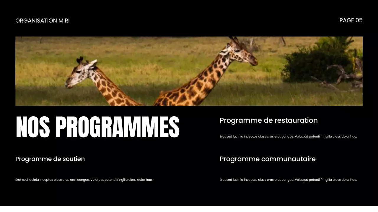 Présentation d'une ONG sur la protection de la faune et de la flore