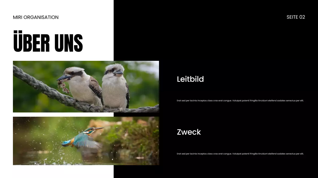 Präsentation zum Schutz von Wildtieren durch NGOs