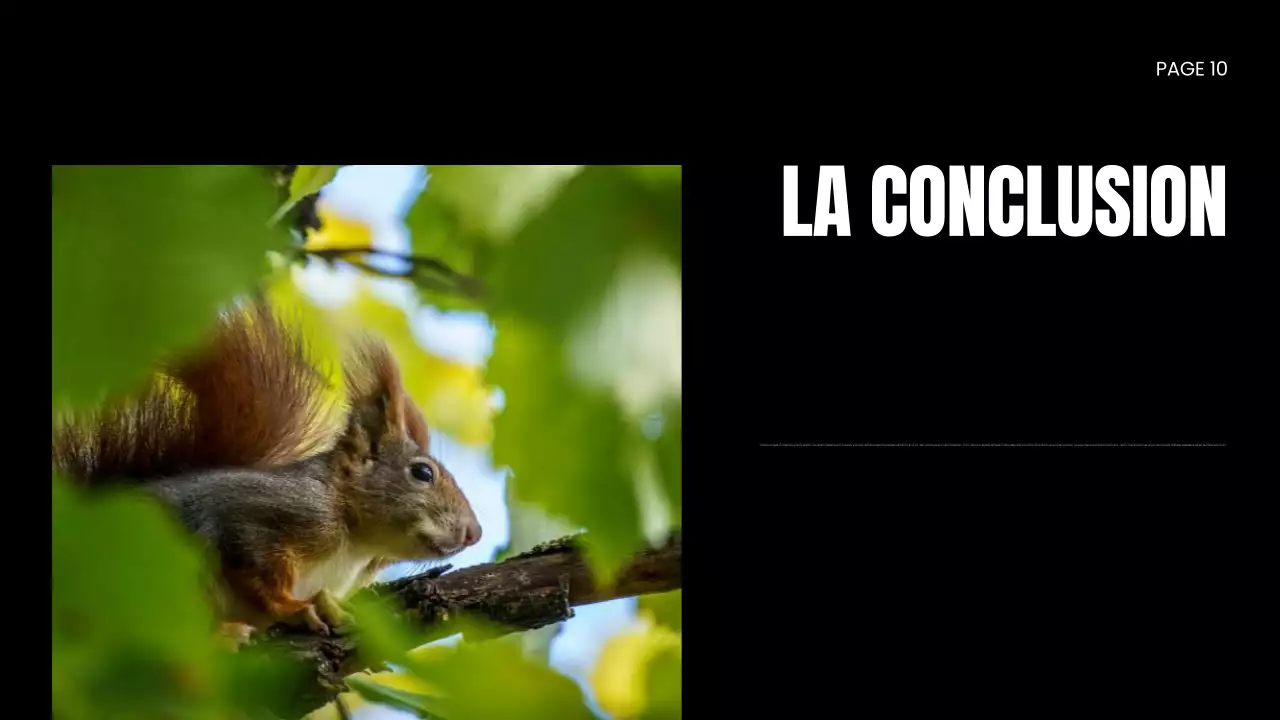 Présentation d'une ONG sur la protection de la faune et de la flore