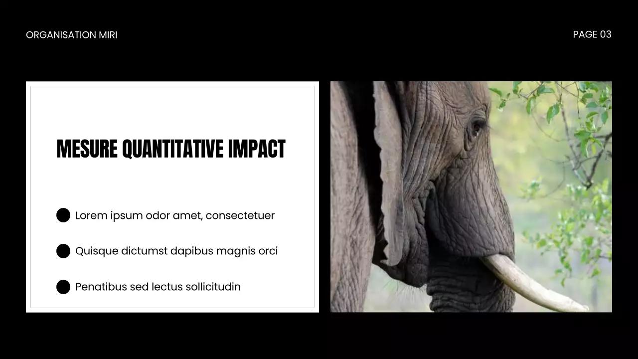 Présentation d'une ONG sur la protection de la faune et de la flore