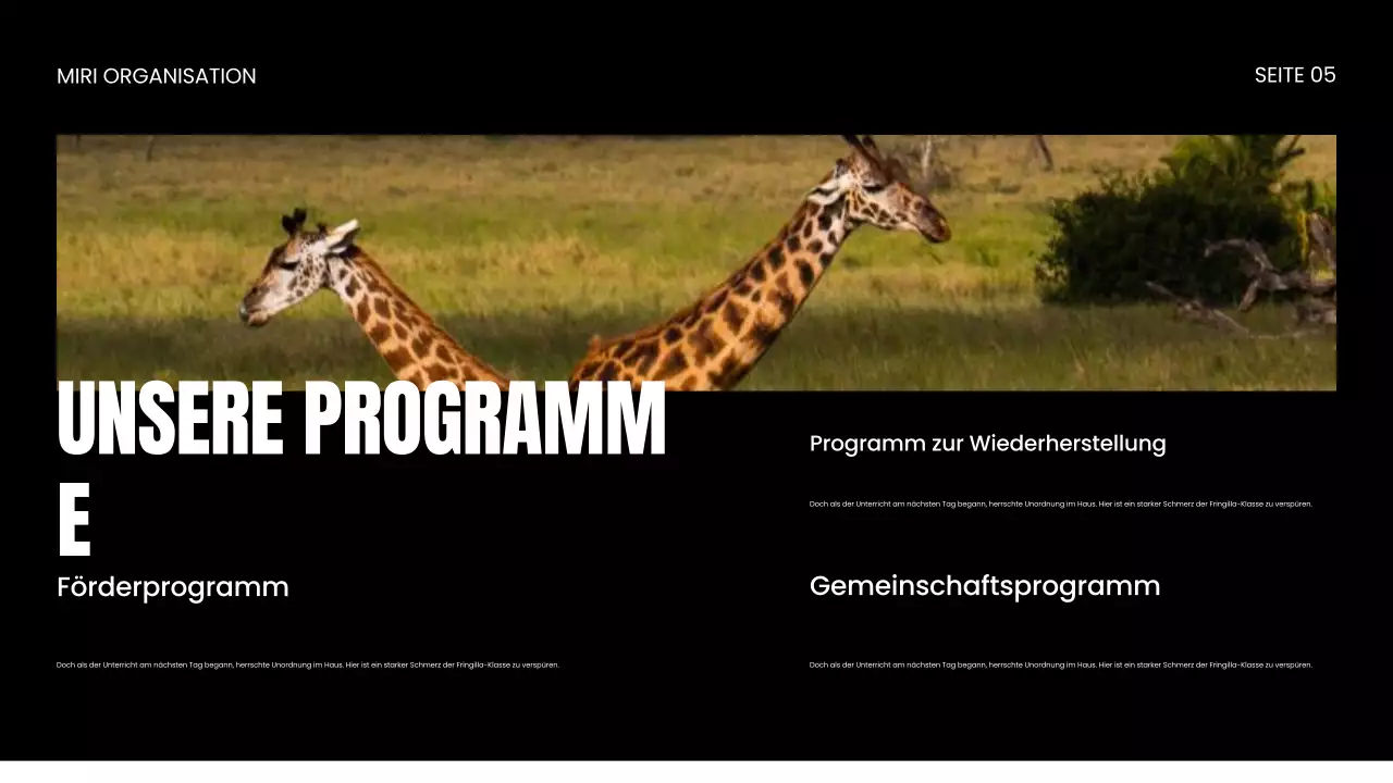 Präsentation zum Schutz von Wildtieren durch NGOs