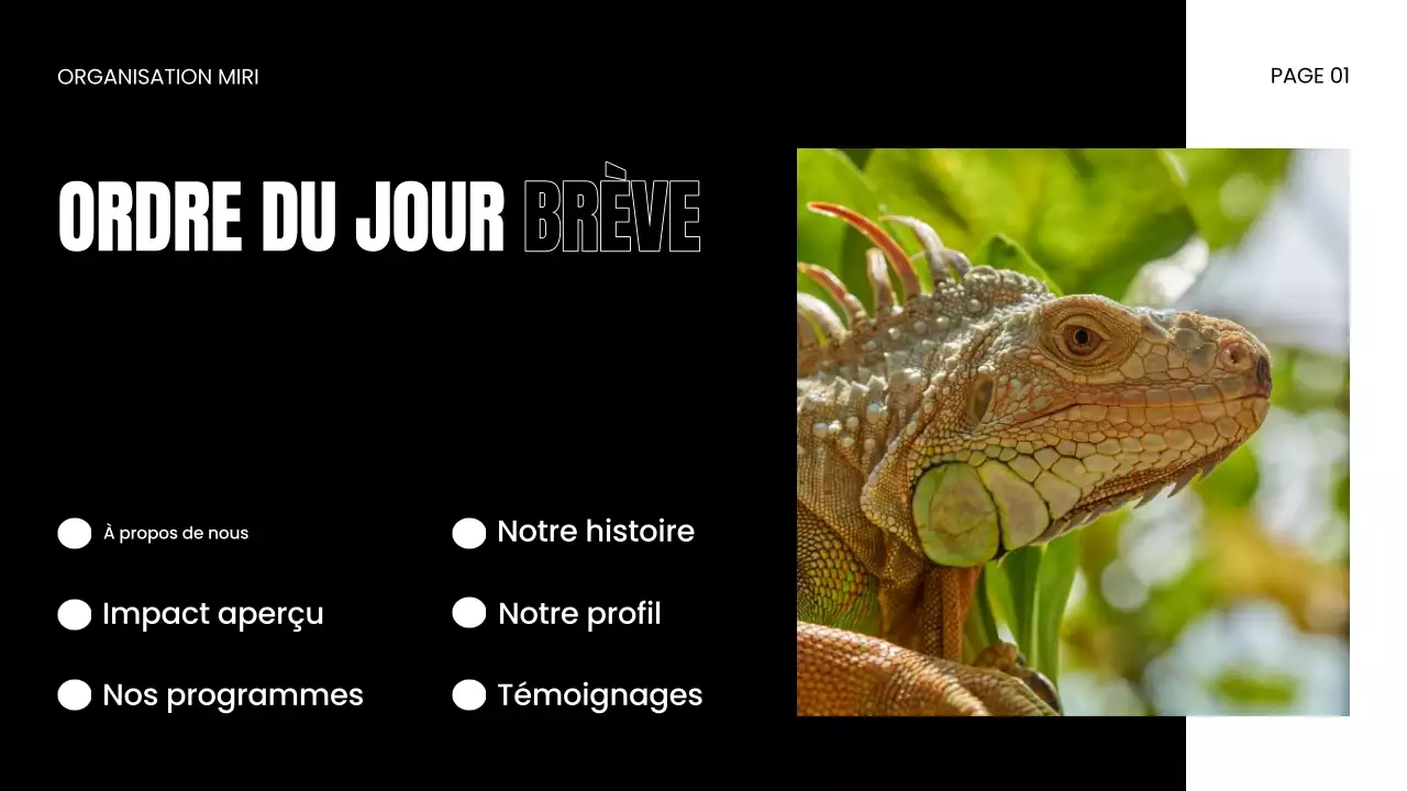 Présentation d'une ONG sur la protection de la faune et de la flore