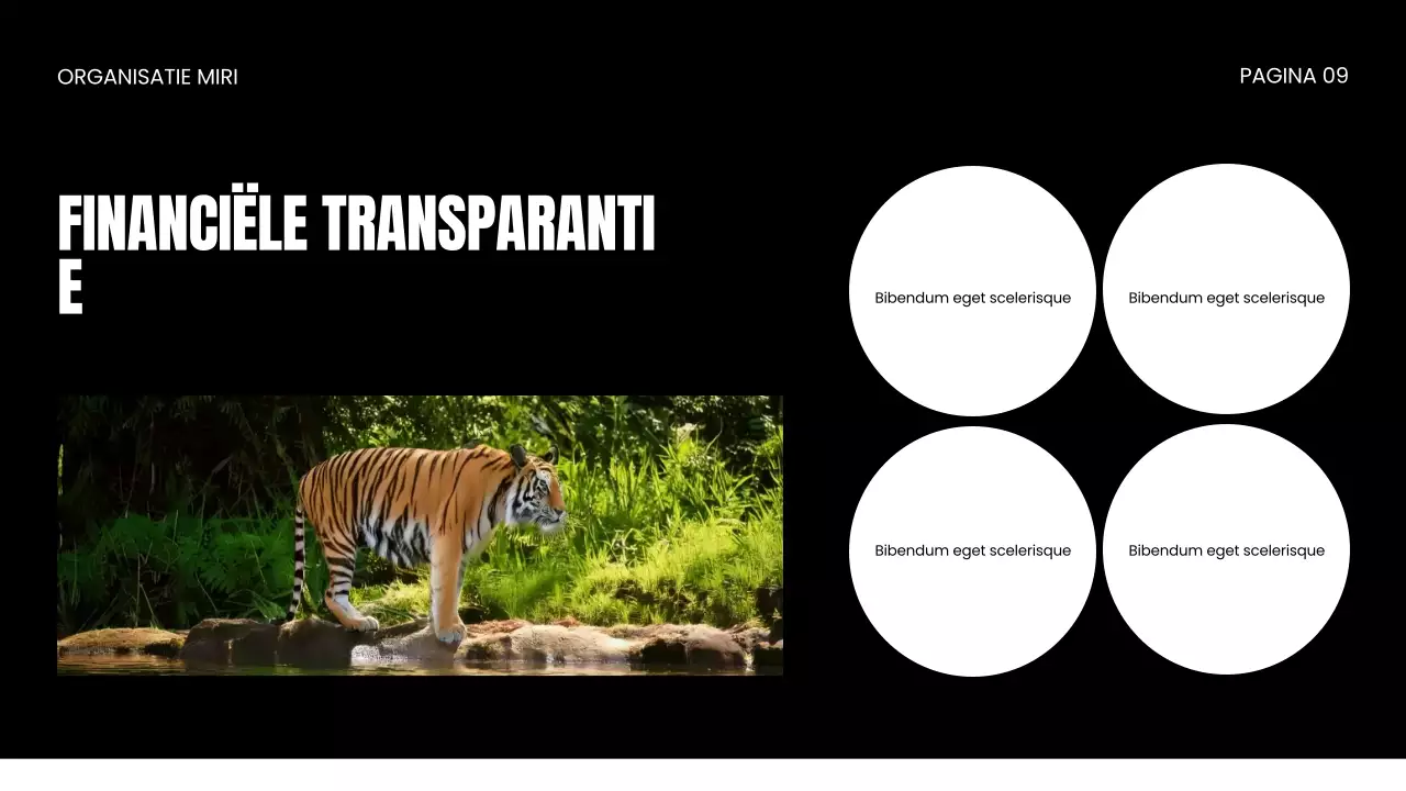 NGO Presentatie over bescherming van wilde dieren