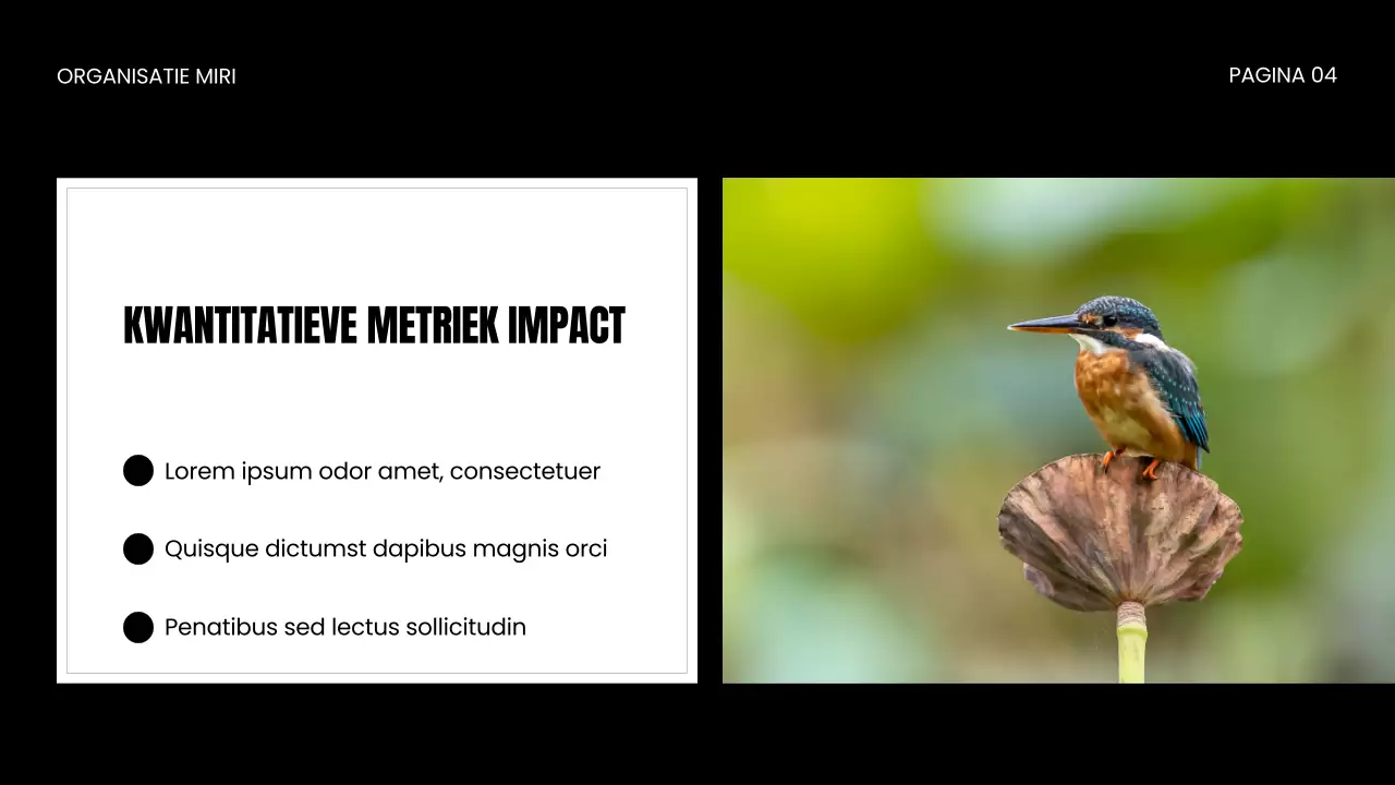 NGO Presentatie over bescherming van wilde dieren