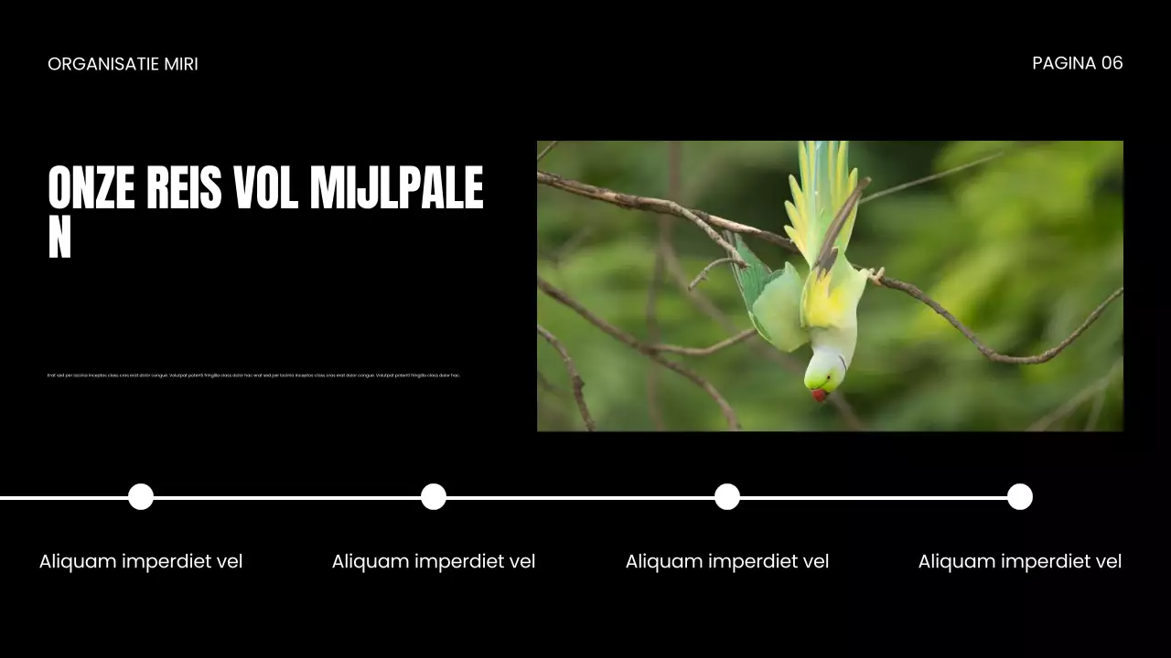 NGO Presentatie over bescherming van wilde dieren