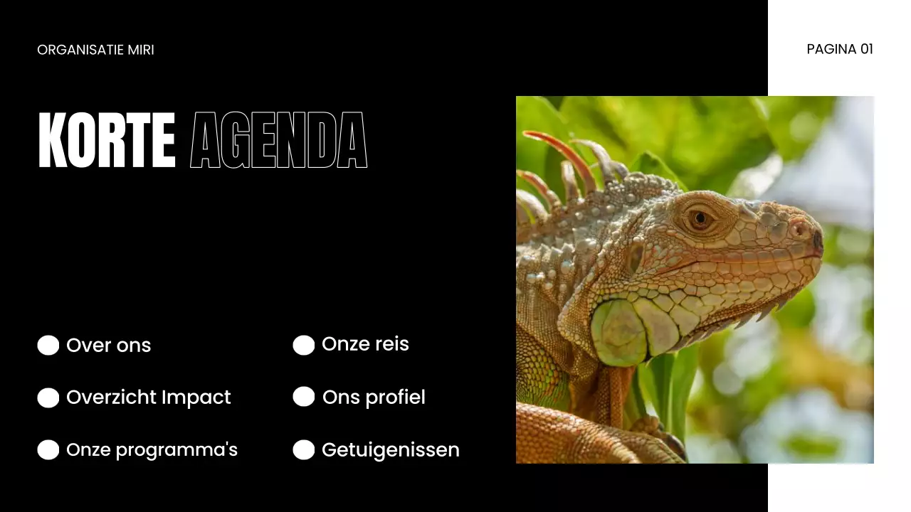 NGO Presentatie over bescherming van wilde dieren