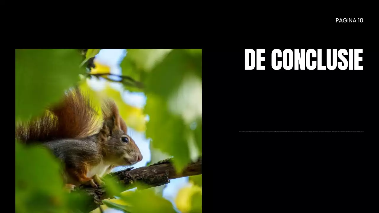 NGO Presentatie over bescherming van wilde dieren