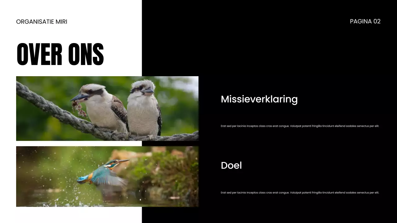 NGO Presentatie over bescherming van wilde dieren