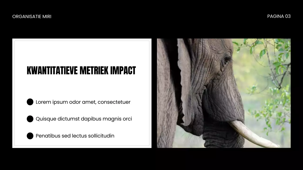 NGO Presentatie over bescherming van wilde dieren