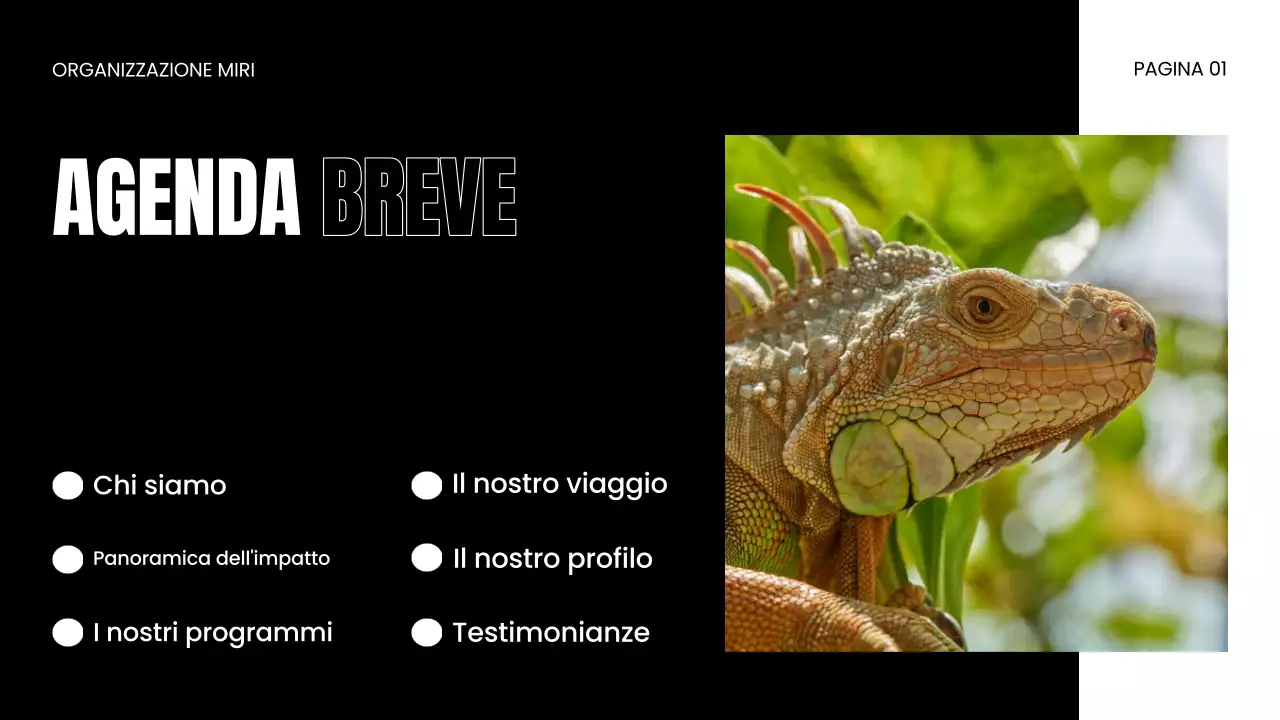 Presentazione della ONG per la protezione della fauna selvatica