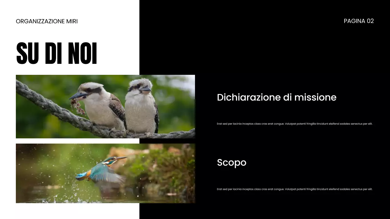 Presentazione della ONG per la protezione della fauna selvatica