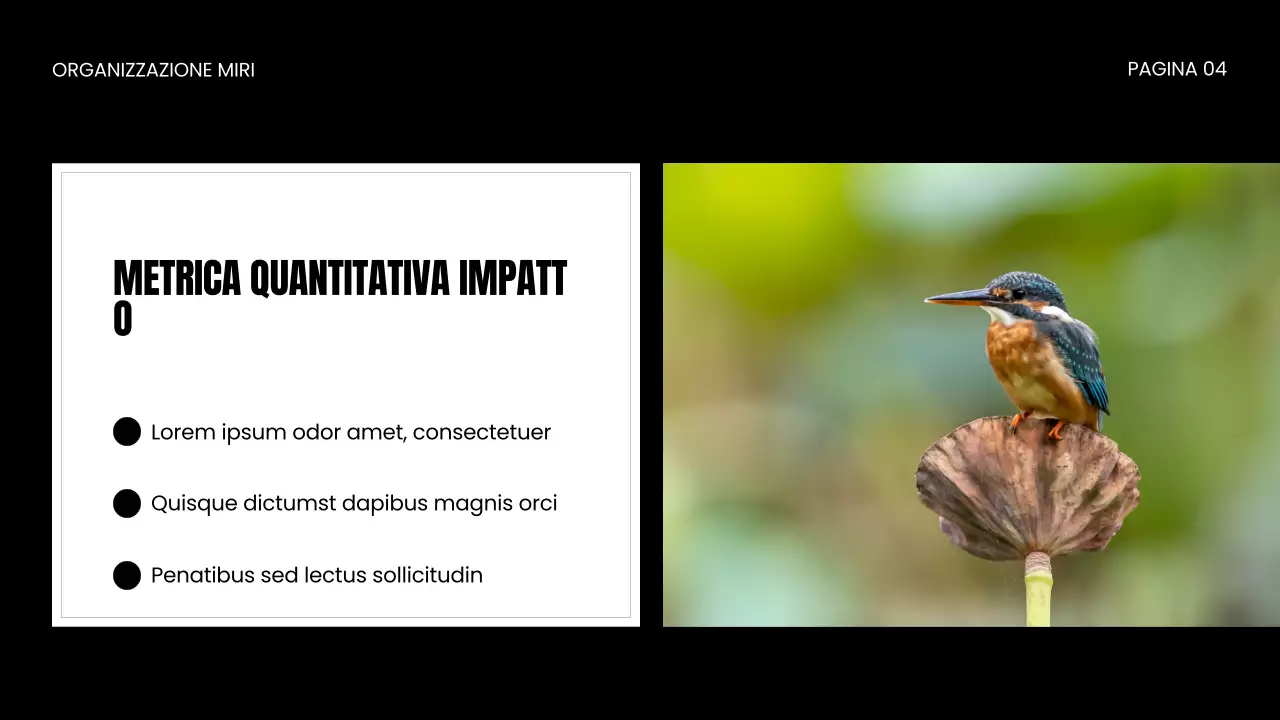 Presentazione della ONG per la protezione della fauna selvatica