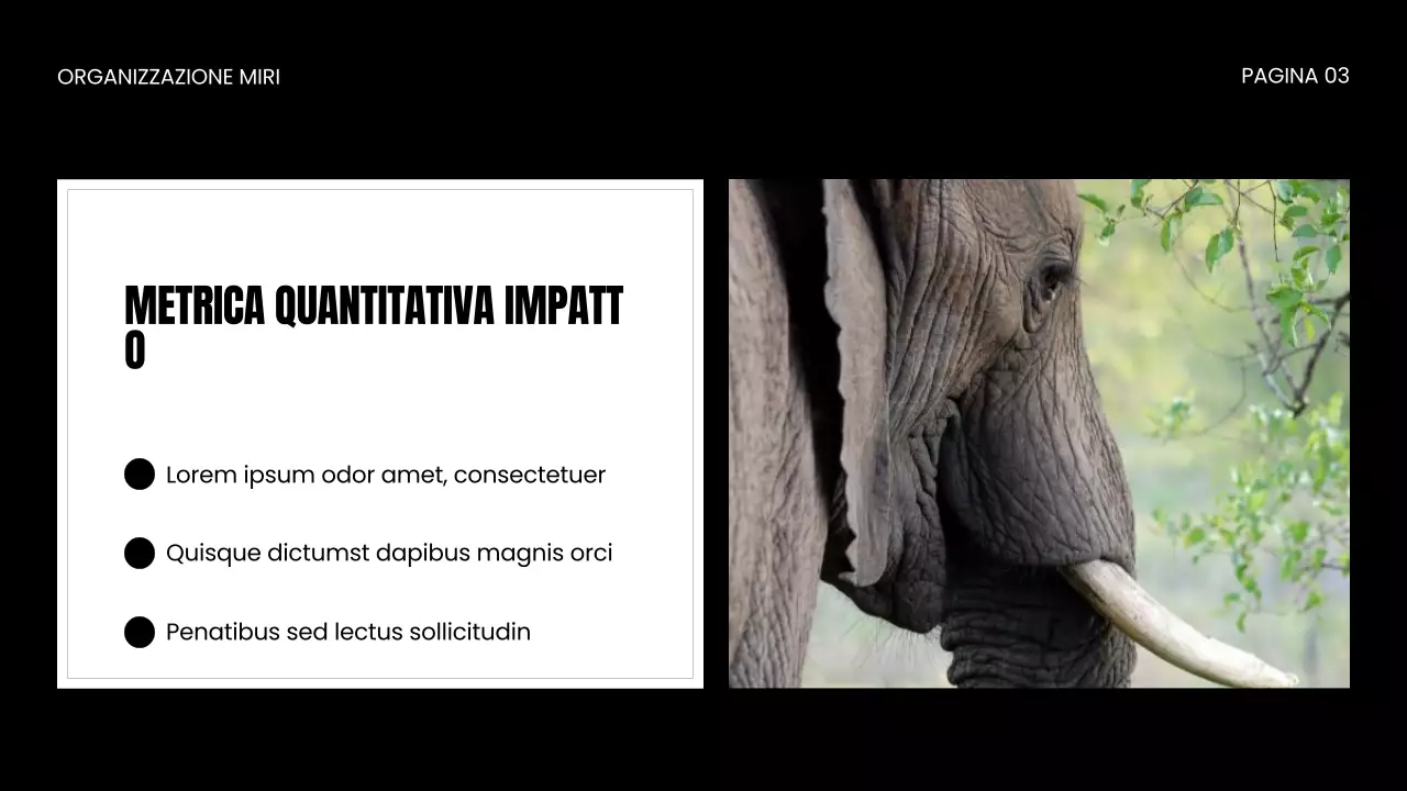 Presentazione della ONG per la protezione della fauna selvatica