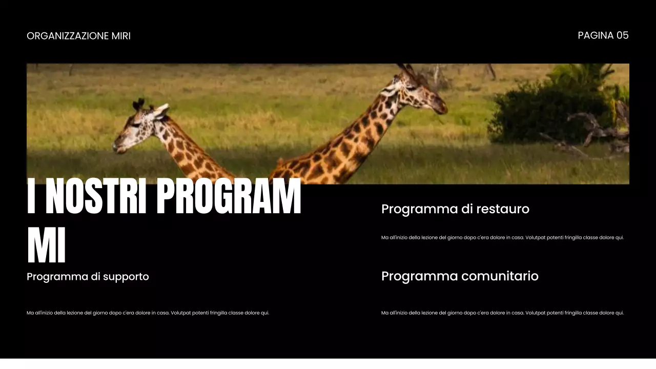 Presentazione della ONG per la protezione della fauna selvatica