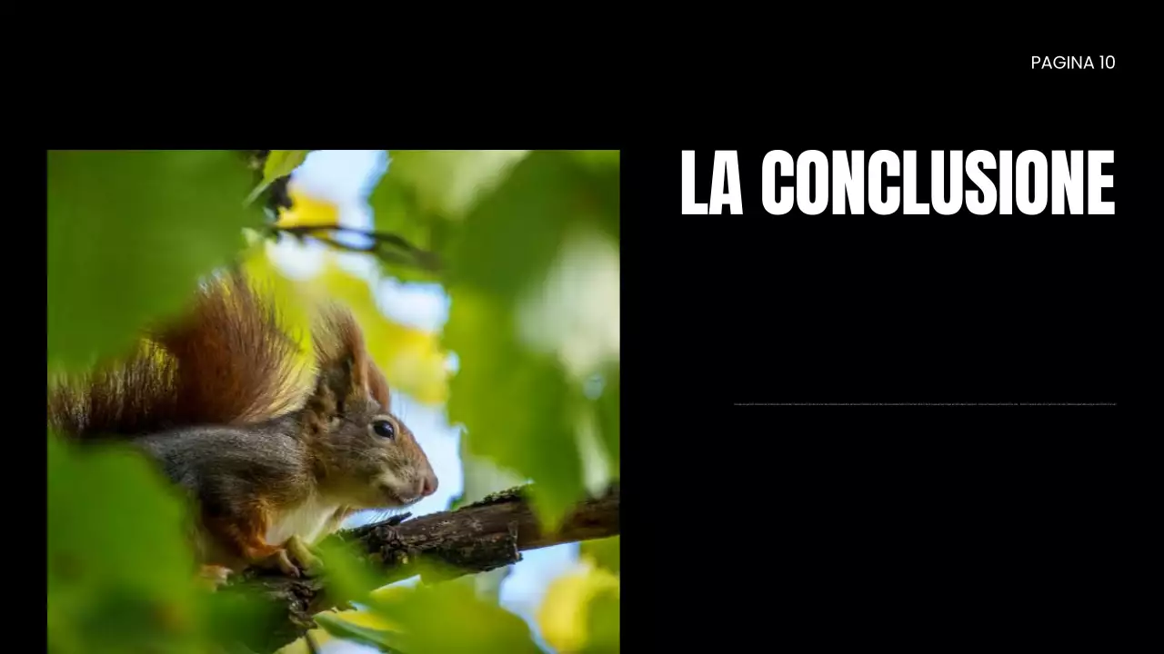 Presentazione della ONG per la protezione della fauna selvatica