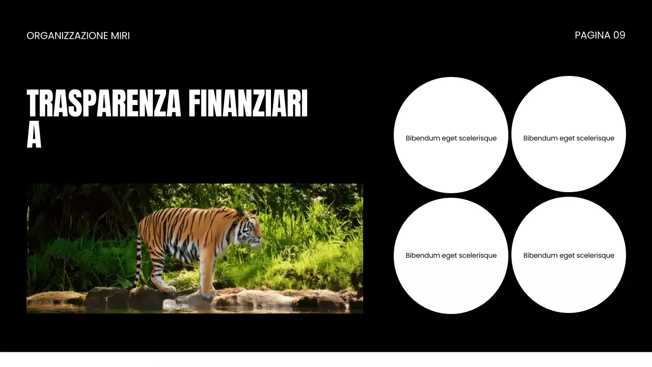 Presentazione della ONG per la protezione della fauna selvatica